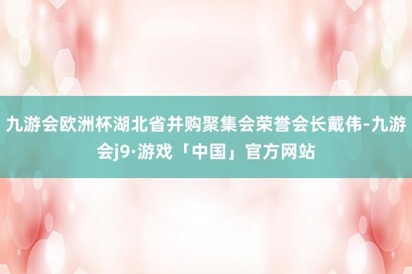 九游会欧洲杯湖北省并购聚集会荣誉会长戴伟-九游会j9·游戏「中国」官方网站