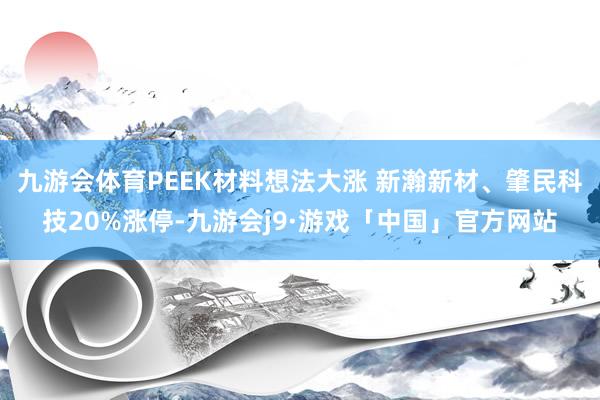 九游会体育PEEK材料想法大涨 新瀚新材、肇民科技20%涨停-九游会j9·游戏「中国」官方网站