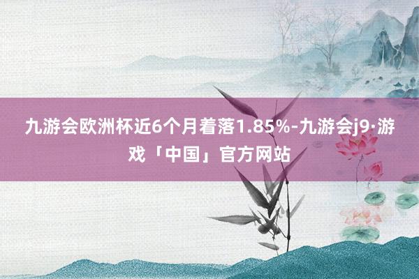 九游会欧洲杯近6个月着落1.85%-九游会j9·游戏「中国」官方网站