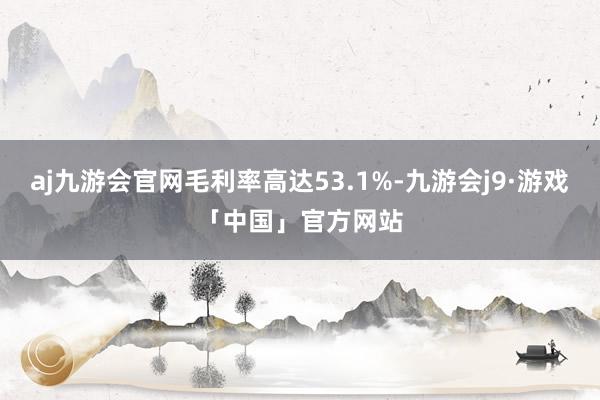 aj九游会官网毛利率高达53.1%-九游会j9·游戏「中国」官方网站