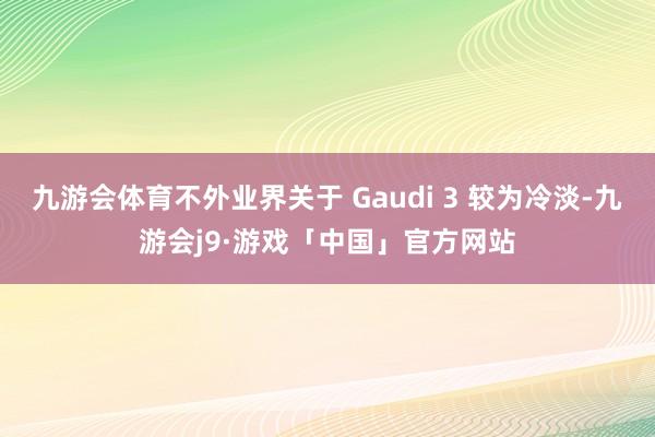 九游会体育不外业界关于 Gaudi 3 较为冷淡-九游会j9·游戏「中国」官方网站