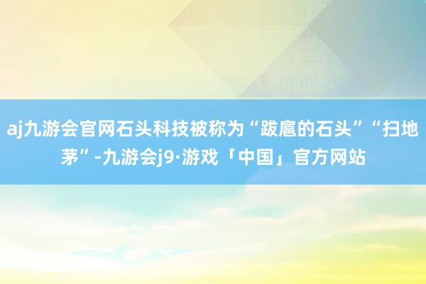 aj九游会官网石头科技被称为“跋扈的石头”“扫地茅”-九游会j9·游戏「中国」官方网站