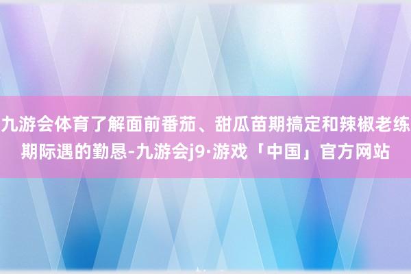 九游会体育了解面前番茄、甜瓜苗期搞定和辣椒老练期际遇的勤恳-九游会j9·游戏「中国」官方网站