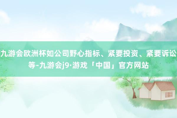 九游会欧洲杯如公司野心指标、紧要投资、紧要诉讼等-九游会j9·游戏「中国」官方网站